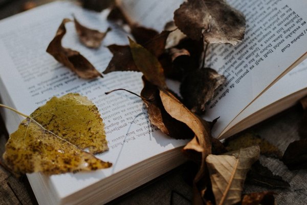 Kraken магазин интернет