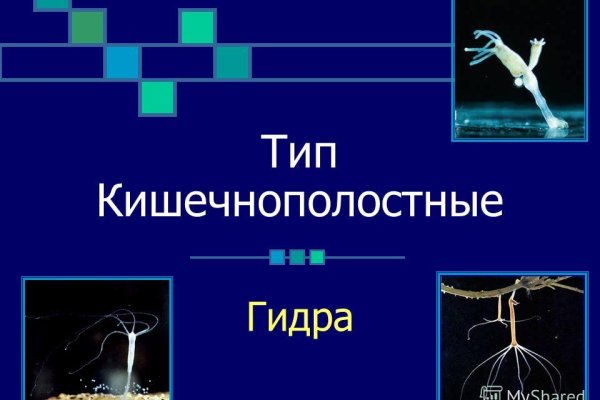 Сайты для даркнета