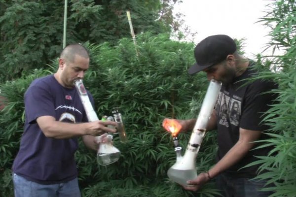 Ссылки на кракен маркетплейс