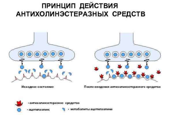 Кракен закладки