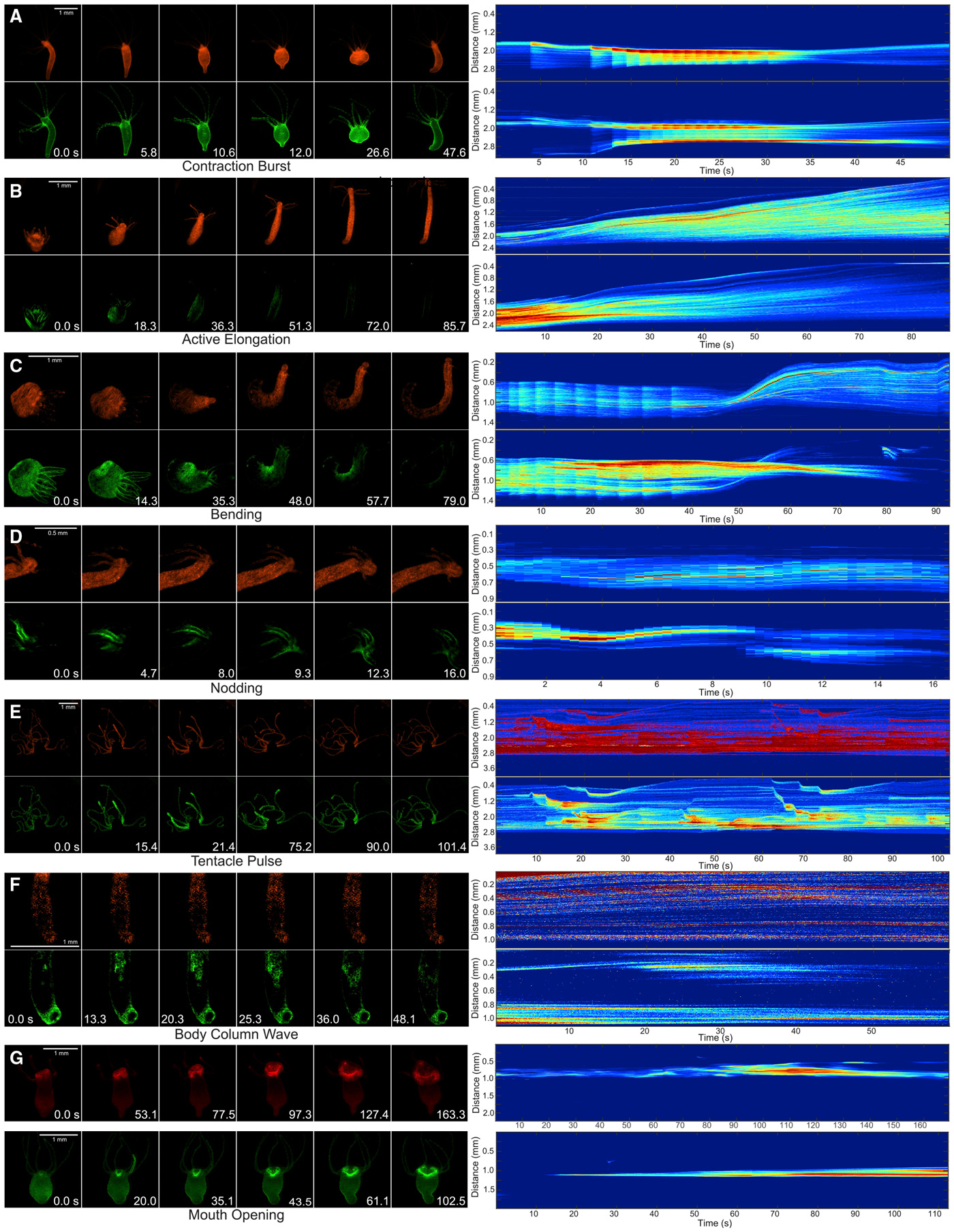 Как найти настоящую кракен даркнет ссылку